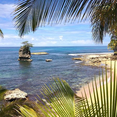 Physis Caribbean Bed & Breakfast Puerto Viejo de Talamanca المظهر الخارجي الصورة