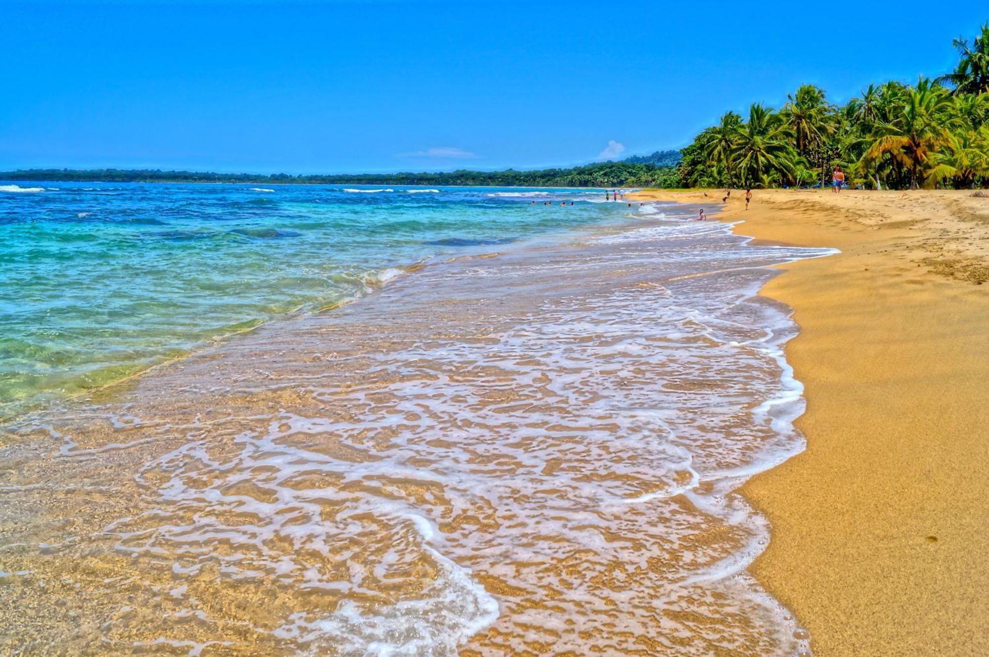 Physis Caribbean Bed & Breakfast Puerto Viejo de Talamanca المظهر الخارجي الصورة