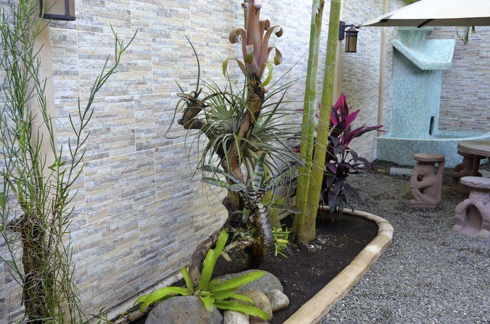 Physis Caribbean Bed & Breakfast Puerto Viejo de Talamanca المظهر الخارجي الصورة