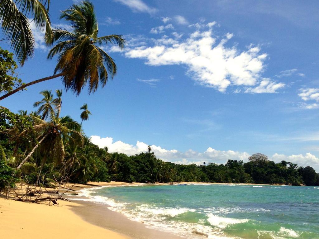 Physis Caribbean Bed & Breakfast Puerto Viejo de Talamanca المظهر الخارجي الصورة