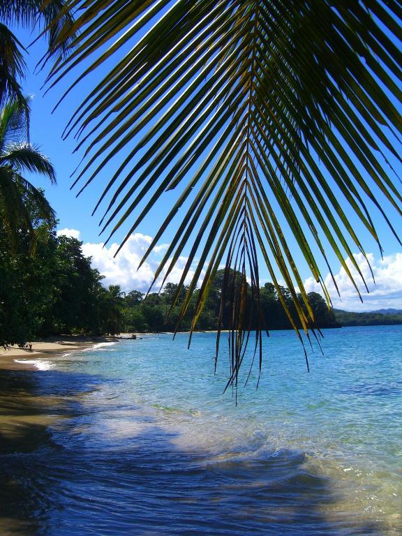 Physis Caribbean Bed & Breakfast Puerto Viejo de Talamanca المظهر الخارجي الصورة