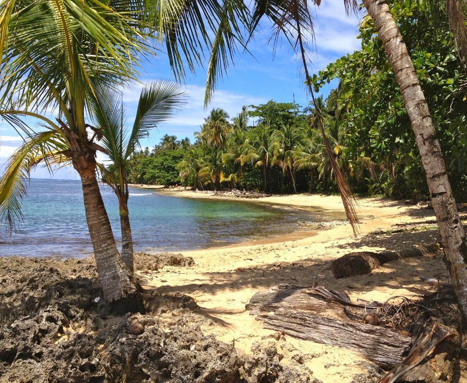 Physis Caribbean Bed & Breakfast Puerto Viejo de Talamanca المظهر الخارجي الصورة
