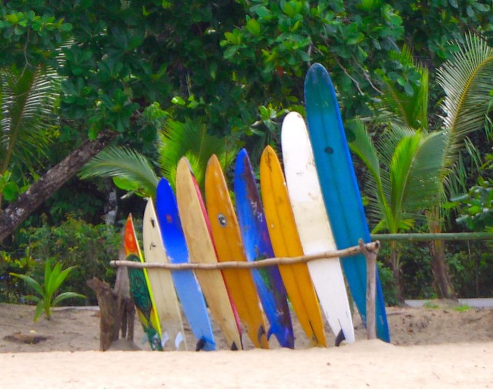 Physis Caribbean Bed & Breakfast Puerto Viejo de Talamanca المظهر الخارجي الصورة
