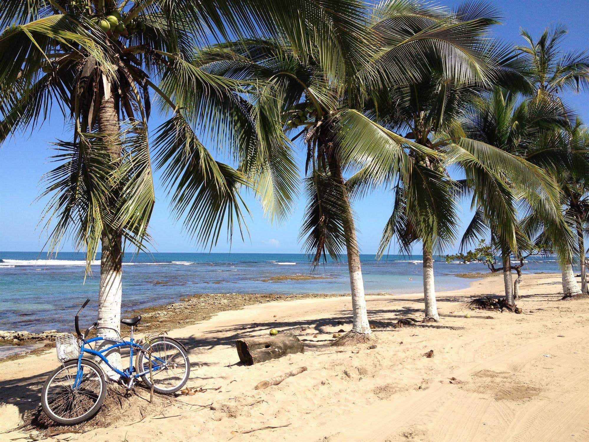 Physis Caribbean Bed & Breakfast Puerto Viejo de Talamanca المظهر الخارجي الصورة
