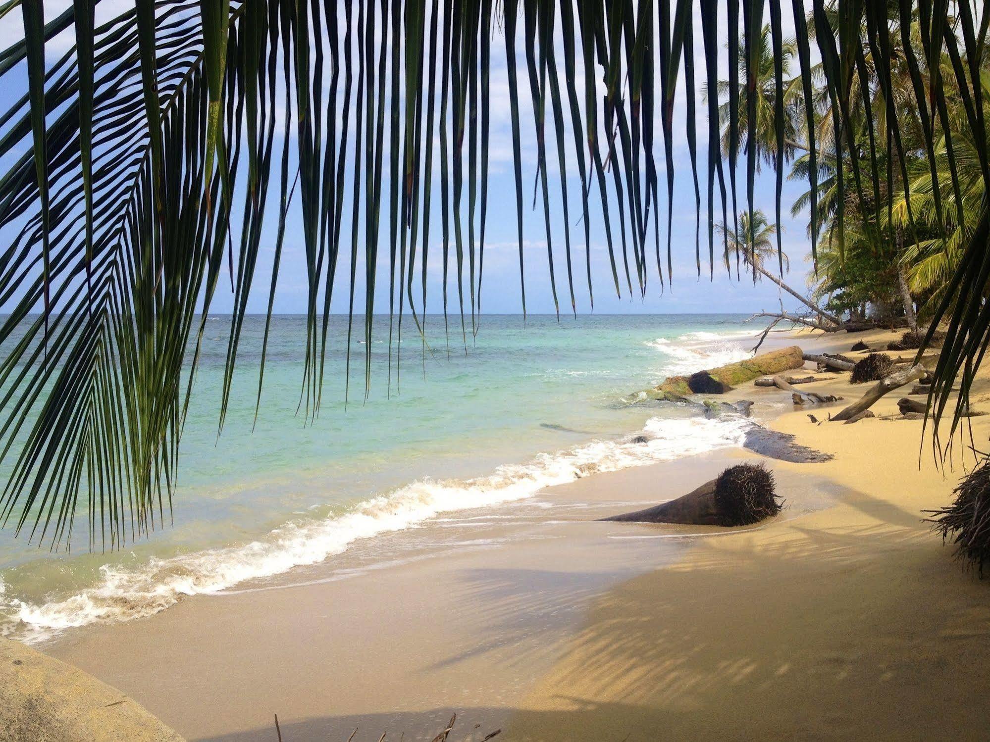 Physis Caribbean Bed & Breakfast Puerto Viejo de Talamanca المظهر الخارجي الصورة
