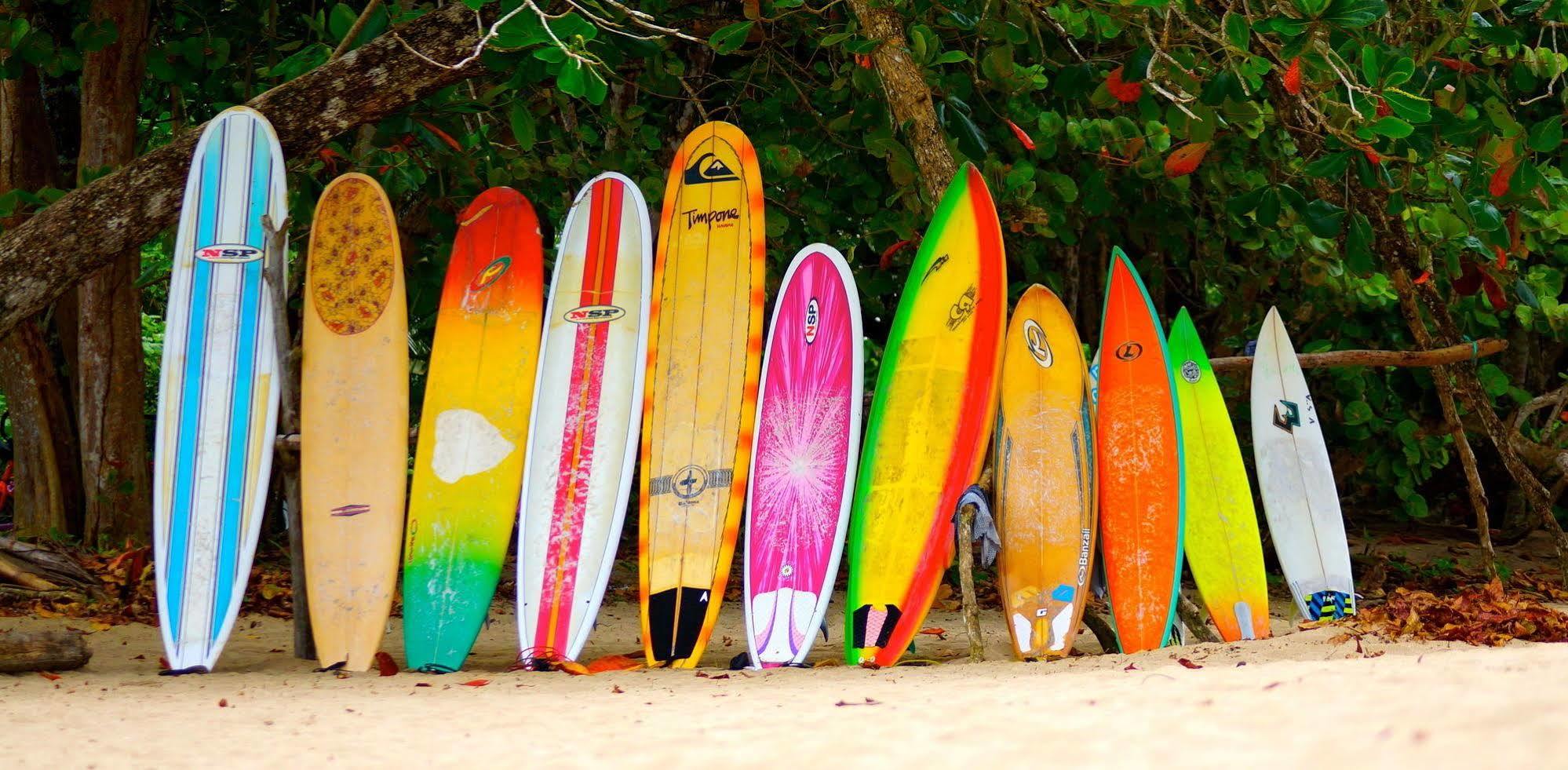 Physis Caribbean Bed & Breakfast Puerto Viejo de Talamanca المظهر الخارجي الصورة